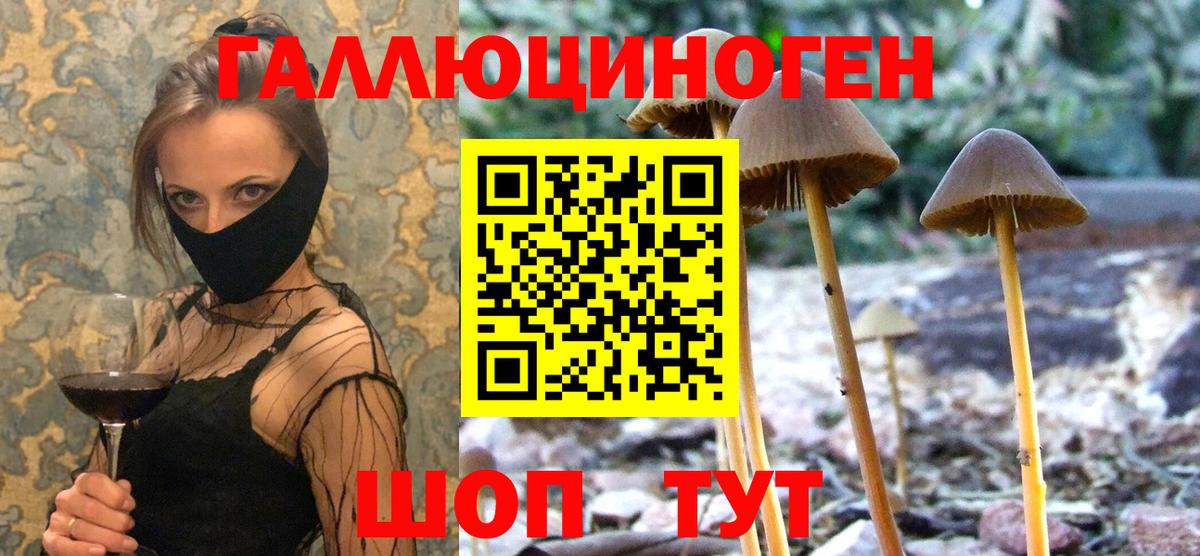 Кириши  Галлюциногенные грибы ЛСД  Псилоцибиновые грибы Magic Shrooms  Вход с VPN 