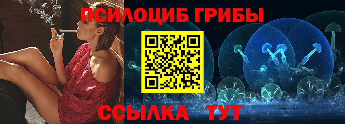 Псилоцибиновые грибы Psilocybine cubensis Кириши